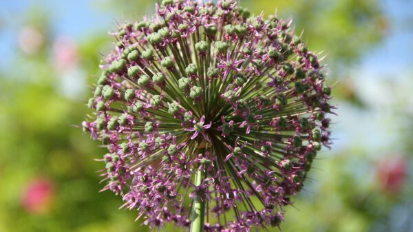 Botanischer Garten